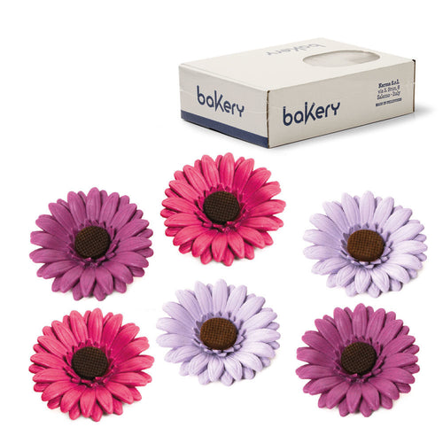 Sugar Gerbera Purple/Pink/Lavender Box 12