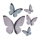Wafer Butterflies Pk 79 3-6cm