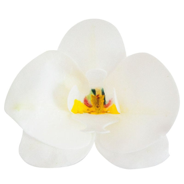 Wafer White Orchid Bx 10
